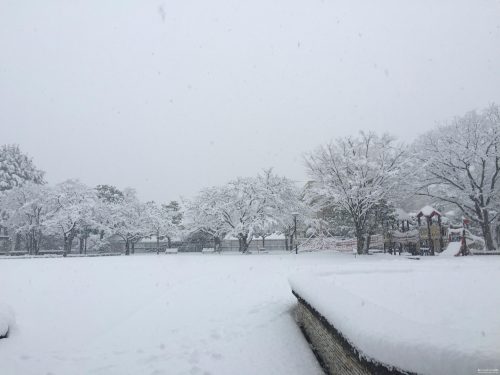 2016雪