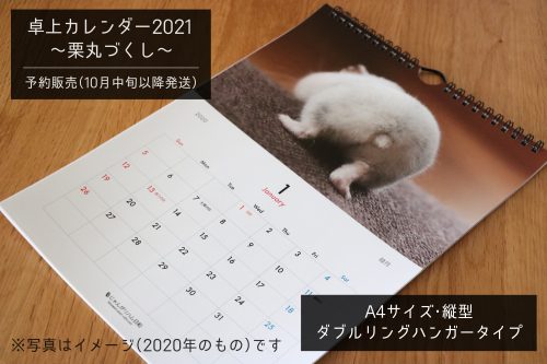 【予約受付スタート】ハムカレンダー2021