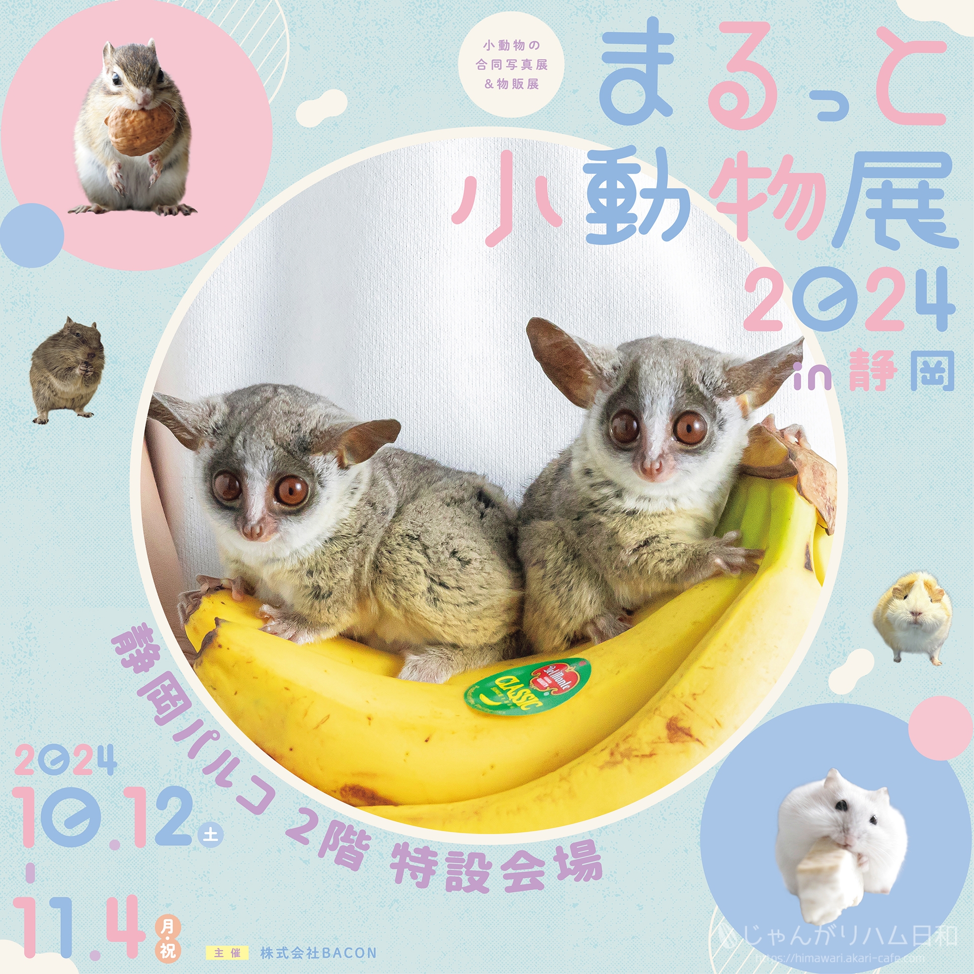 まるっと小動物展2024in静岡パルコ